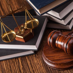 Legal Services/Criminal Justice/Protective Services